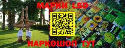 молекула духа Будённовск