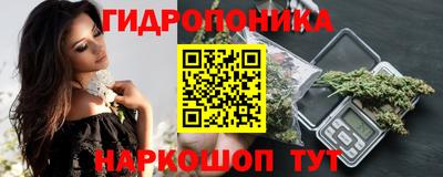 молекула духа Будённовск