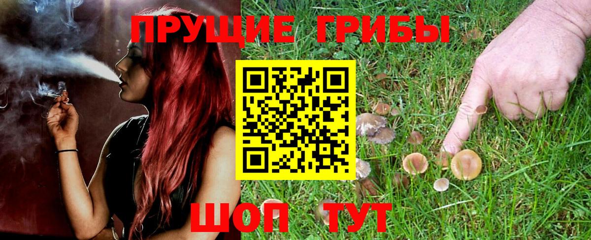 Людиново  Псилоцибиновые грибы мухоморы  Вход с VPN 