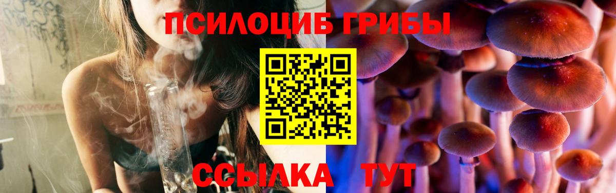 Галлюциногенные грибы GOLDEN TEACHER Людиново